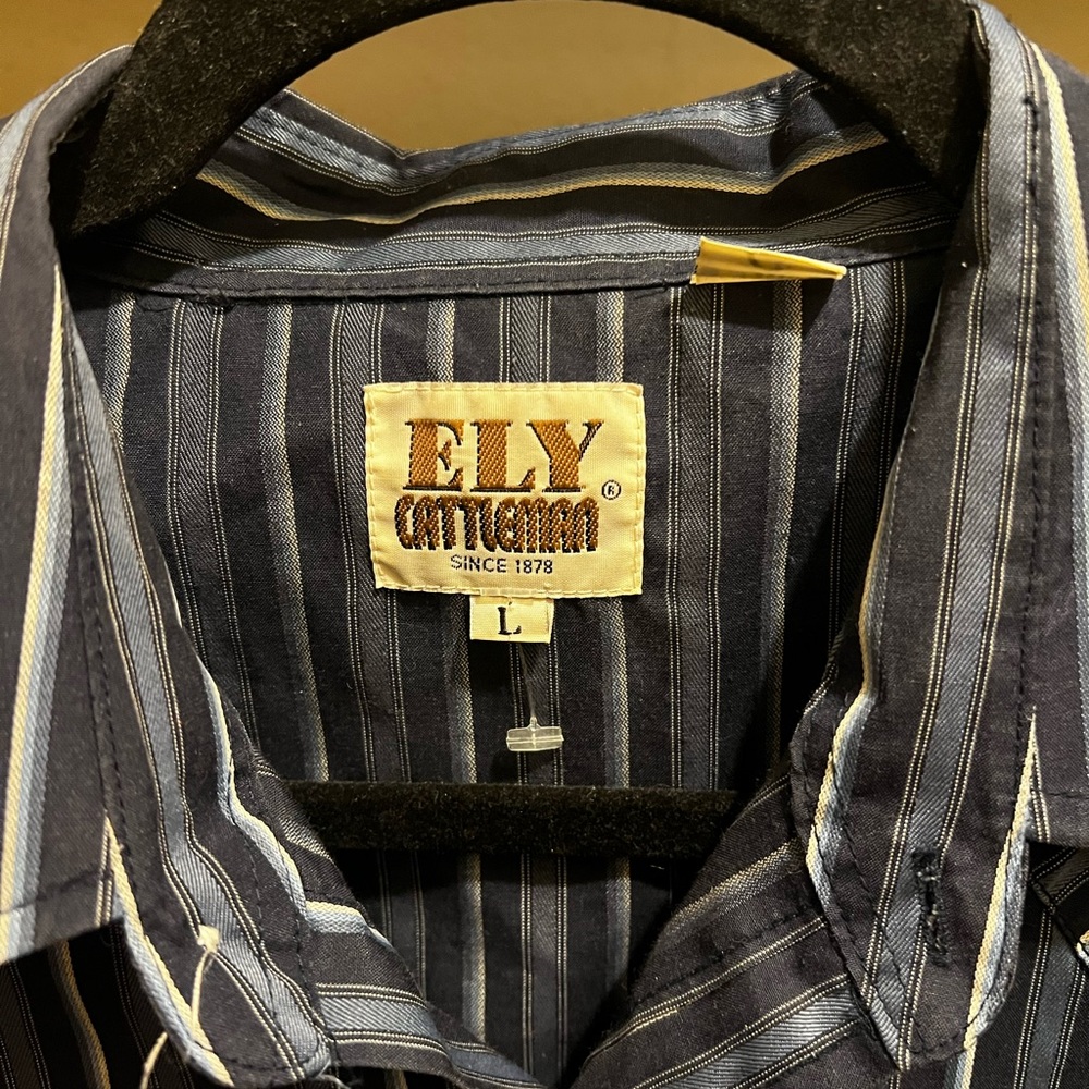Pin striped pearl snap button up